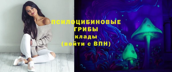 ALPHA PVP Белокуриха