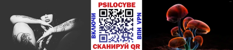 Псилоцибиновые грибы GOLDEN TEACHER  Бородино 